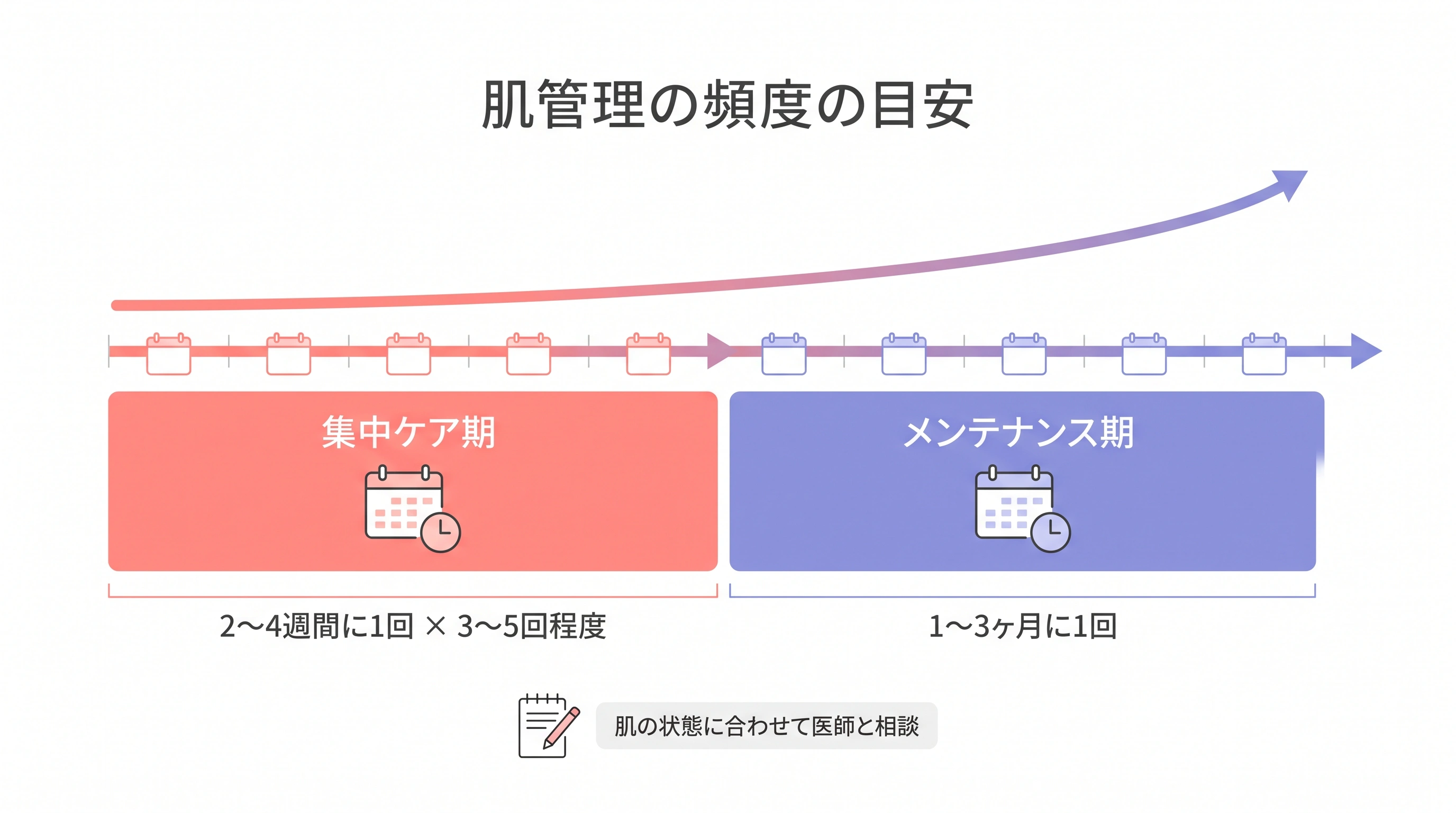 肌管理の頻度の目安：集中ケア期は2〜4週間に1回、メンテナンス期は1〜3ヶ月に1回